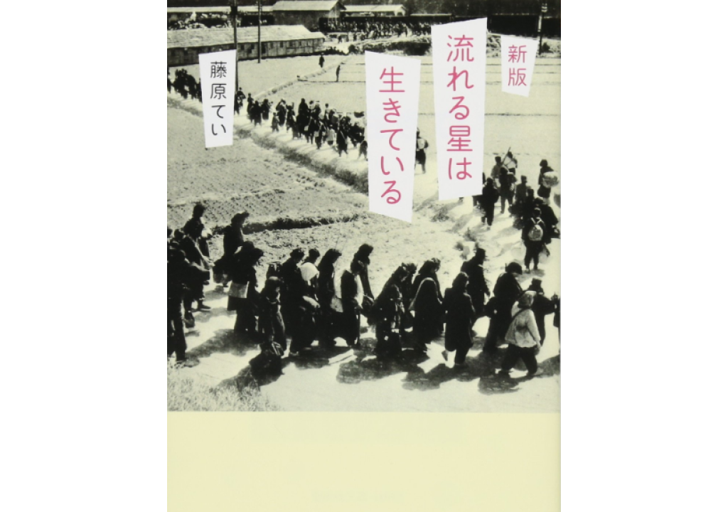 《流星依然活著》封面 日本網路書店，邱振瑞翻攝