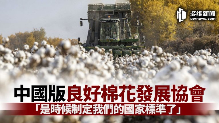 瑞士良好棉花發展協會(BCI)宣布對所有新疆棉企無限期取消擔保認證，導致中國民眾聲討並抵制BCI及H&M等其會員品牌。圖/網路