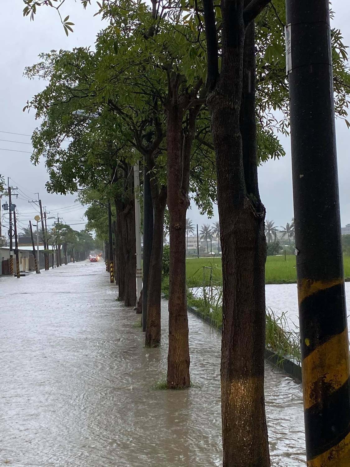 高雄豪大雨，立委邱志偉通報彌陀區進學路已出現局部道路淹水情形。 圖：翻攝邱志偉臉書