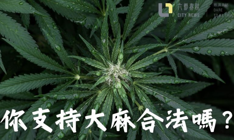 你支持大麻合法嗎？留言說出你的看法吧！