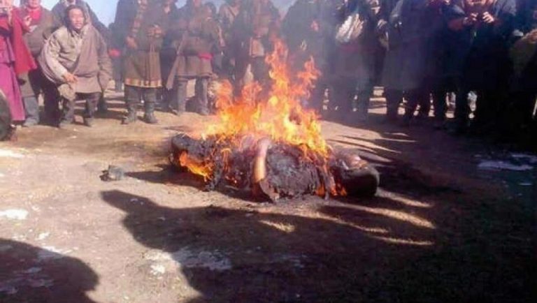 藏人以自焚的方式表達自身的痛苦與無助。圖片來源：資料照