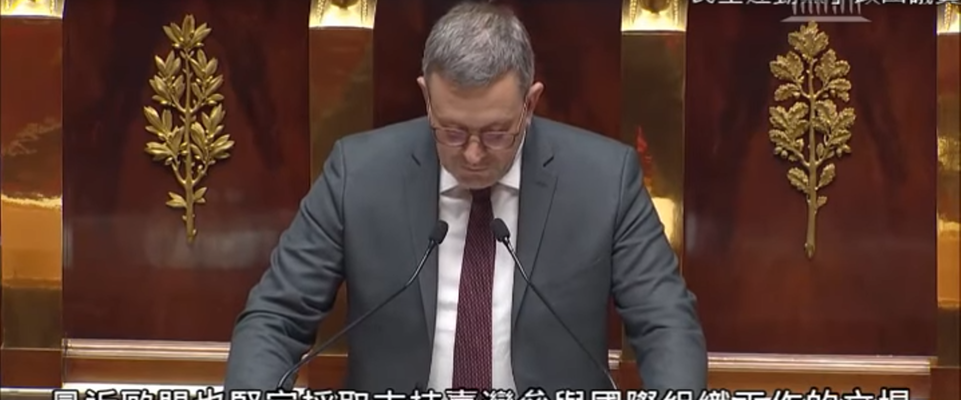 法國國民議會以39票贊成、2票反對、3票棄權通過支持台灣參與國際組織決議案。圖/翻攝自網路